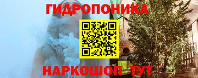 дживик Камышлов