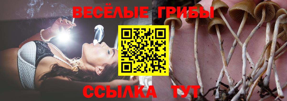 Видное  Псилоцибиновые грибы мицелий  Вход с VPN  Галлюциногенные грибы Cubensis 